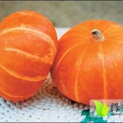 黑龙江虎林日本小南瓜口感爽口