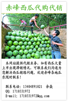 赤峰西瓜即将上市，欢迎前来选购！
