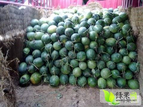 2015年山东东明龙卷风价格