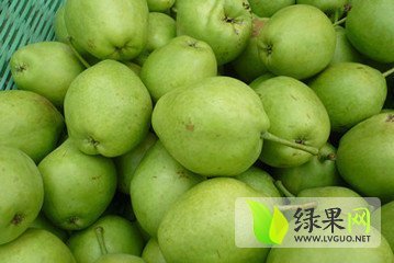2014年陕西大荔红香酥梨价格