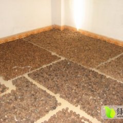 富源核桃火爆招商中,富村云南小黄诚信合作