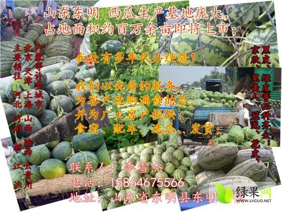 2014年山东东明龙卷风价格