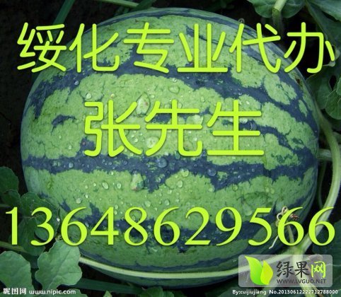 地雷瓜价格