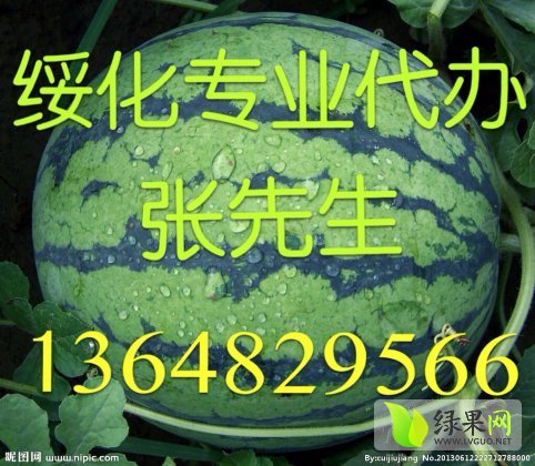 2014年黑龙江北林地雷瓜价格