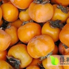 大荔柿子名扬天下,范家蔡铭超诚信合作