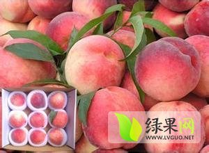 陕西大荔北京八号蜜桃口感爽口