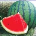 忻府真檀王田7月新红宝西瓜
