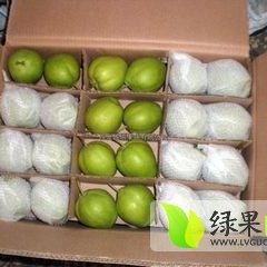 陕西大荔早酥梨绿色无公害