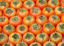 2014大荔柿子抓住商机无限