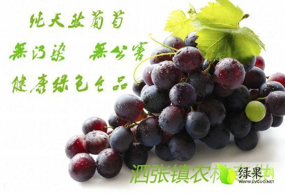 2014年山东泗水巨峰葡萄价格