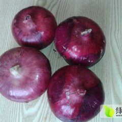 平度洋葱著名品牌,古岘张先生诚信合作