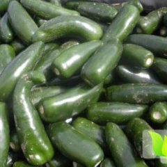 凌海辣椒何去何从,右卫东润诚信合作