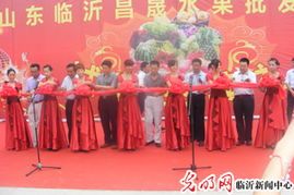 2014年山东兰山地雷瓜价格