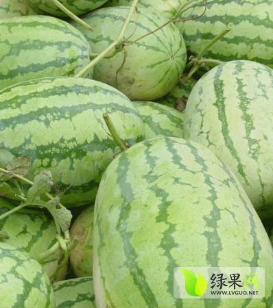 2014年安徽颖上冠龙价格