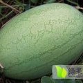 菏泽东明刘立7月庆红宝，龙卷风西瓜