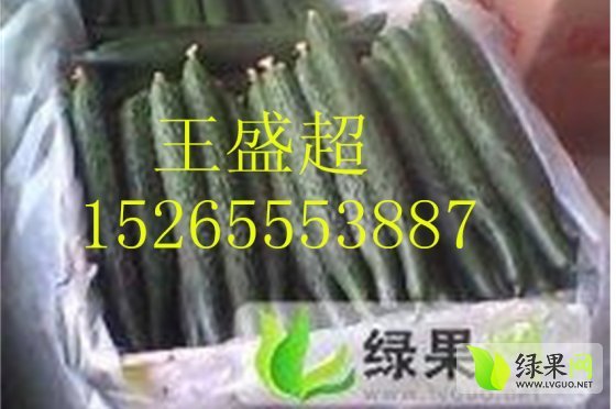 2014年山东莘县D19价格