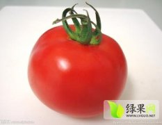 山西祁县欧冠西红柿现在产量大