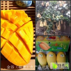 福建龙文金煌芒：南昌路叶立耿