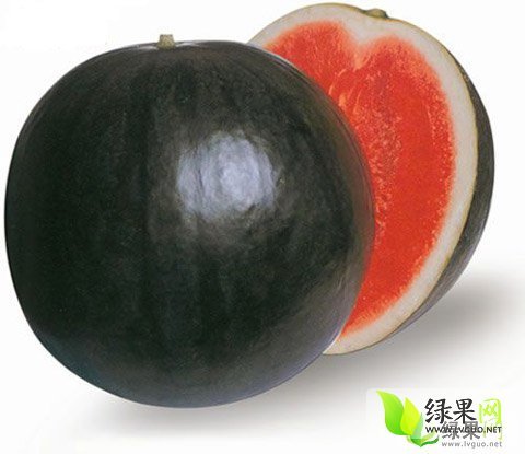 麒麟西瓜价格