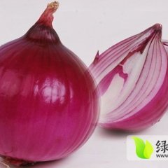 山东泗水红皮洋葱：中册镇杨玉同