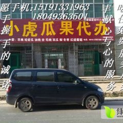 陕西大荔红提葡萄产地 品质优良
