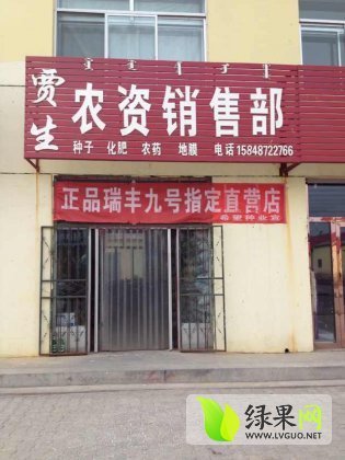 2014年内蒙古乌拉特前旗西农八号价格
