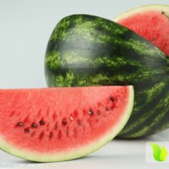 甘肃靖远安农二号西瓜价格适宜