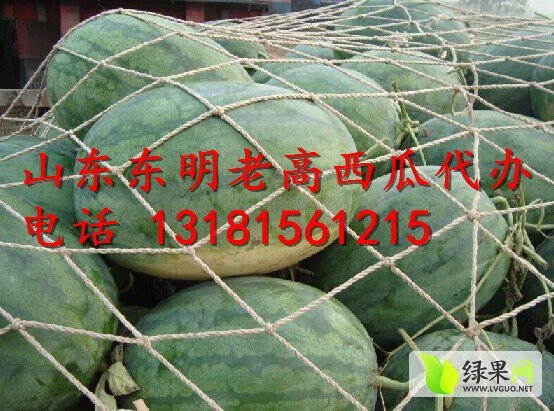 2014年山东东明龙卷风价格