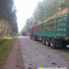 黑龙江省绥化西瓜刘红雨诚信合作