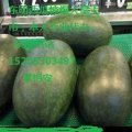 2014东明西瓜价格波动不大