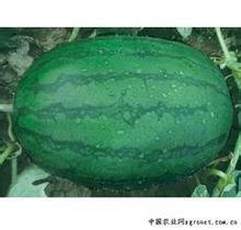 2014年山东东明龙卷风价格