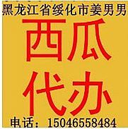 黑龙江西瓜价格