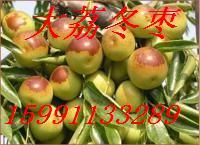 2014年陕西大荔冬枣价格
