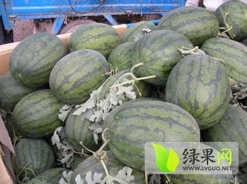 龙卷风价格