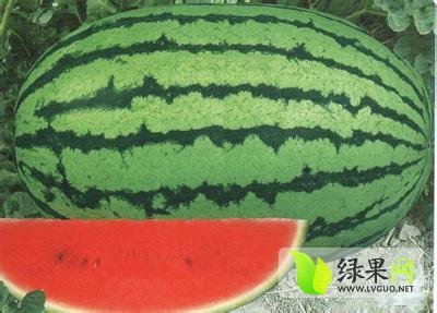2014年内蒙古库伦旗金城5号价格