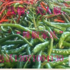 中牟韩寺线椒辣椒价格适宜