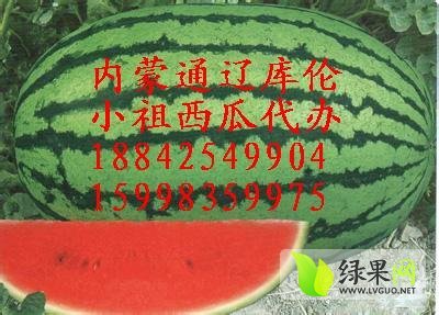 2014年辽宁新民京欣价格