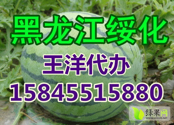 2014年黑龙江北林京欣价格