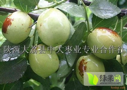2014年陕西大荔水枣价格