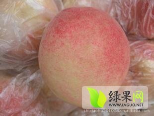 大荔蜜桃著名品牌,西街张伟诚信合作