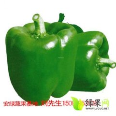 2014平阴辣椒再不来就没机会了！