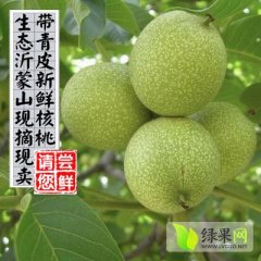 供应山东临沂优质核桃量大质优可物流发货