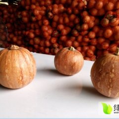 嘉鱼潘家邓自国7月金香糯南瓜