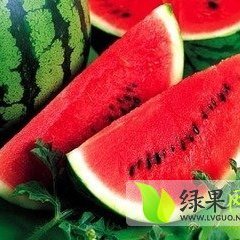 靖远高湾住国兴7月金花西瓜
