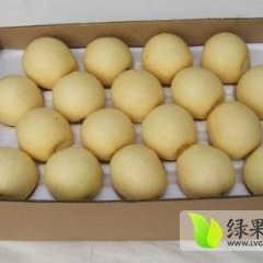 大荔范家张波7月皇冠梨