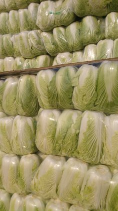 2014年湖北嘉鱼青杂三号价格