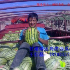 甘肃靖远高湾西瓜专业代办王行磊