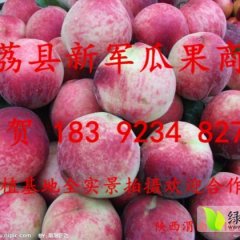 陕西优质个大味美 8月超越桃蜜桃