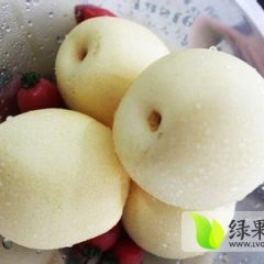 皇冠梨富含蛋白质、脂肪、胡罗卜素