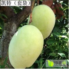 仁和芒果价格行情平稳,华美刘海燕诚信合作